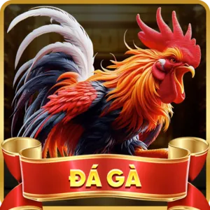 Cá cược thể thao trên K9CC APP