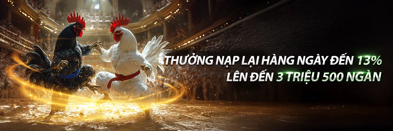 K9CC Khuyến Mãi 2026: Nền tảng cá cược uy tín, ưu đãi khủng!